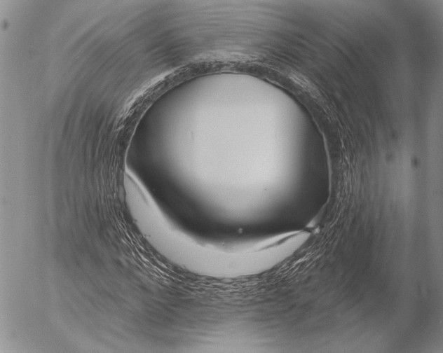 X0000053020872200507291731