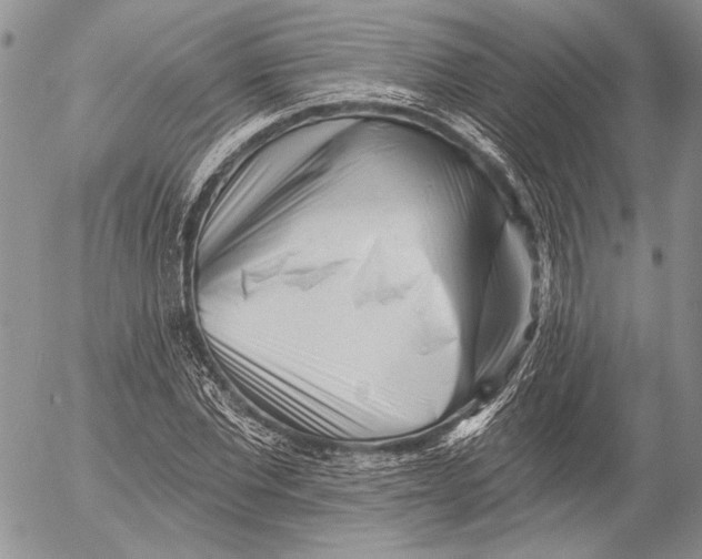 X0000053020877200507291731