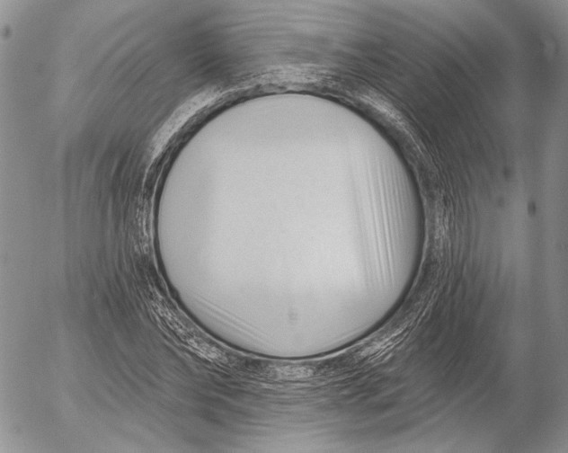X0000053020878200507291731
