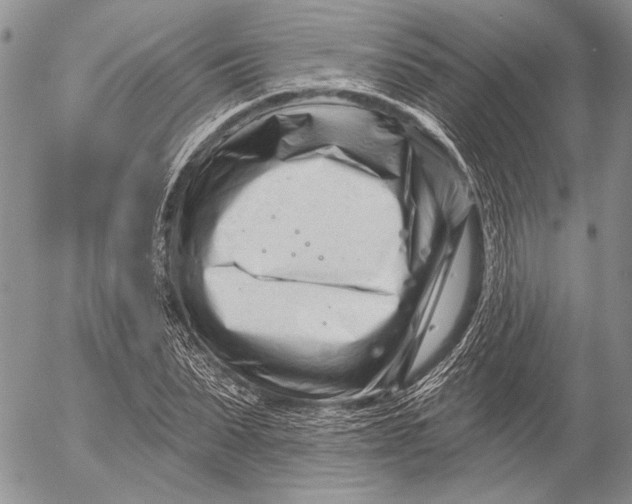 X0000053020879200507291731