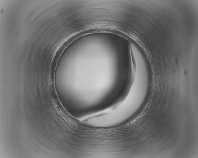 X0000053020880200507291731
