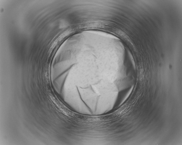 X0000053020882200507291731