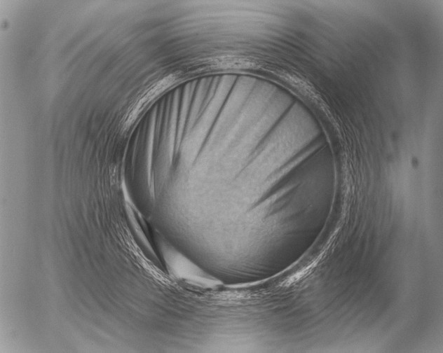 X0000053020889200507291730