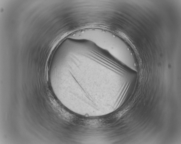 X0000053020892200507291730