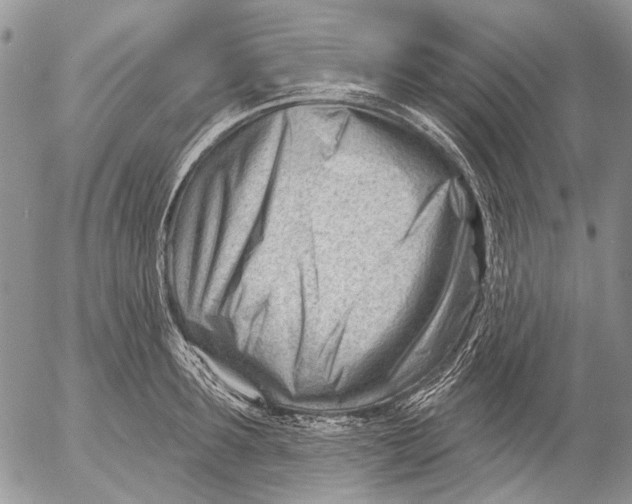 X0000053020899200507291730