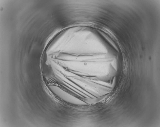 X0000053020907200507291730