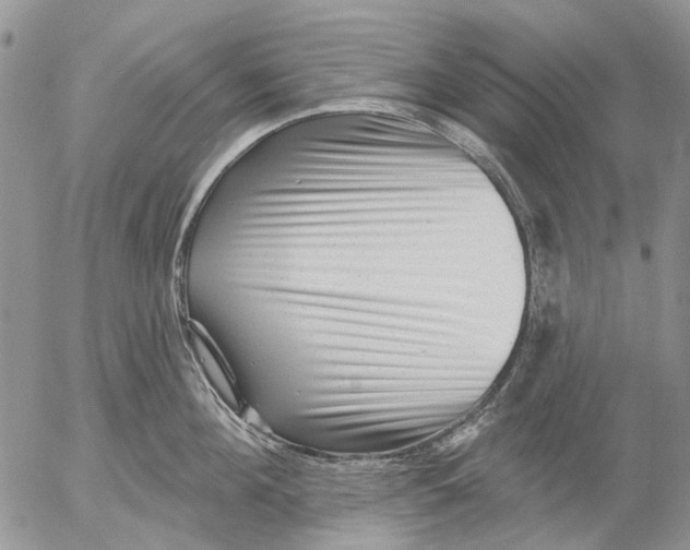 X0000053020908200507291730