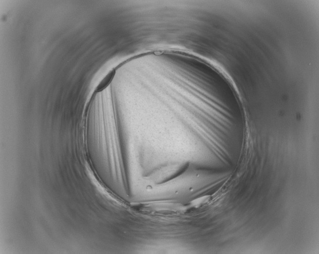 X0000053020911200507291730