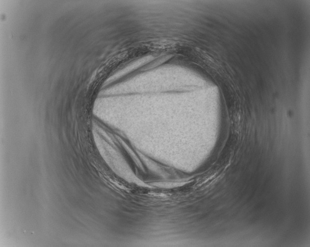 X0000053020913200507291729