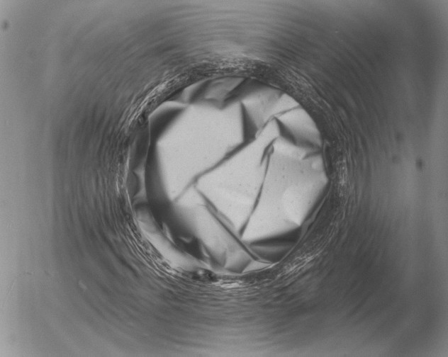 X0000053020916200507291729