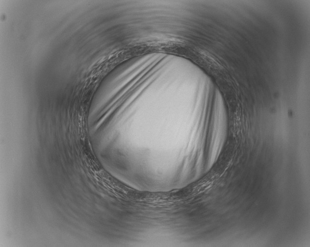 X0000053020917200507291729