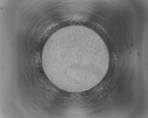 X0000053020918200507291729