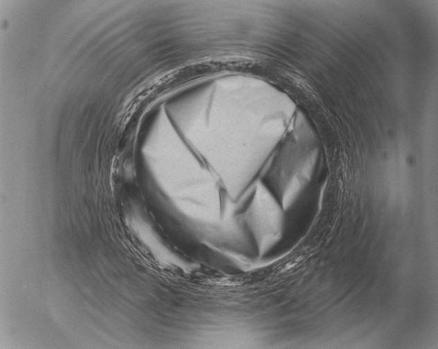 X0000053020920200507291729
