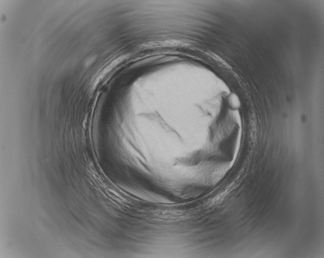 X0000053020921200507291729