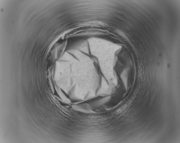 X0000053020923200507291729