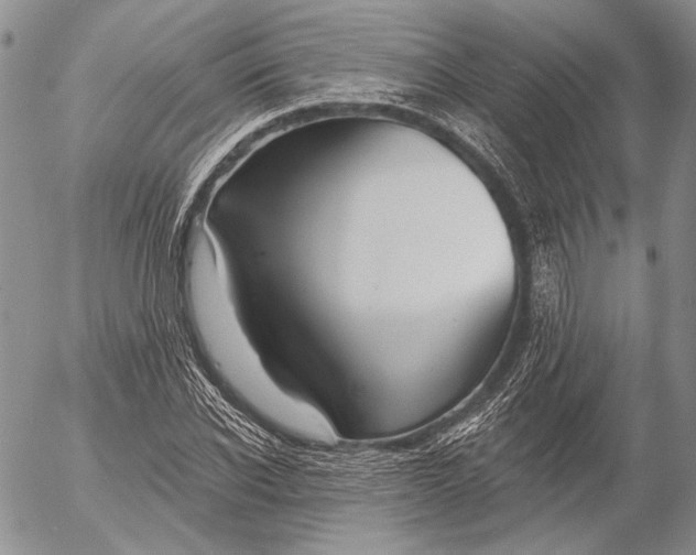 X0000053020926200507291729