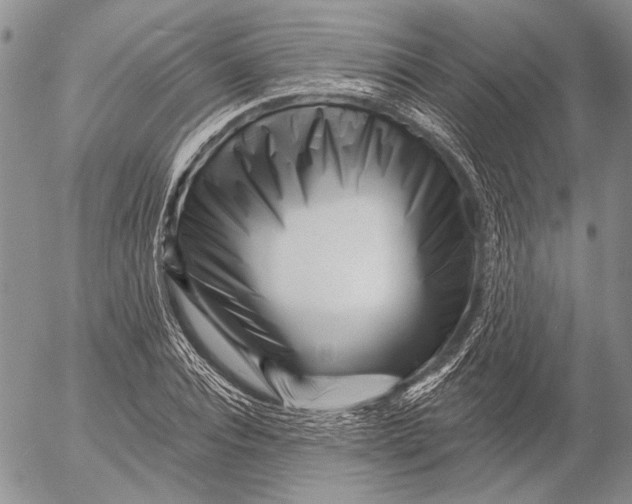 X0000053020928200507291729
