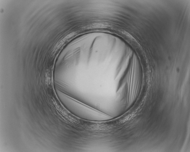 X0000053020929200507291729