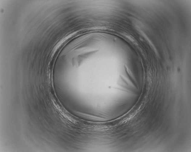 X0000053020933200507291730