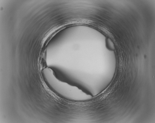 X0000053020936200507291730