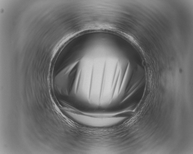 X0000053020943200507291730