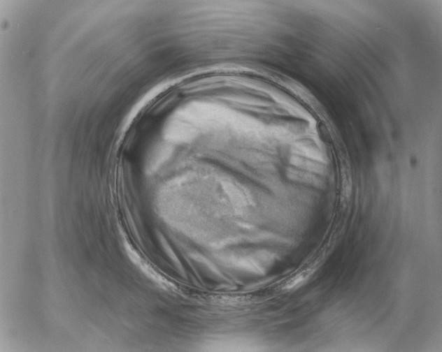 X0000053020958200507291730