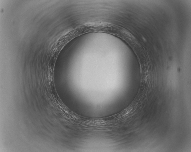 X0000053020966200507291729