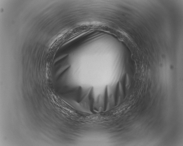 X0000053020967200507291729