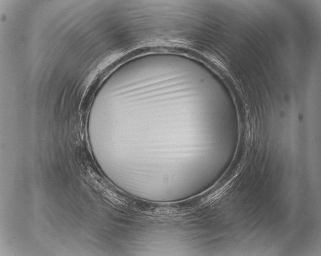 X0000053020974200507291729