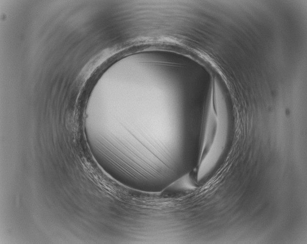 X0000053020975200507291729