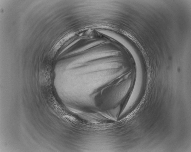 X0000053020977200507291729
