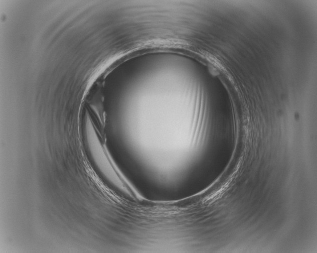 X0000053020981200507291729