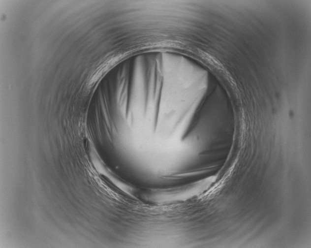 X0000053020985200507291729