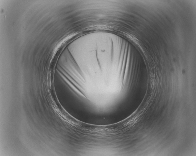 X0000053020987200507291729