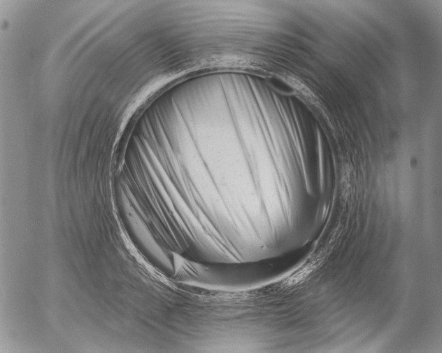 X0000053020989200507291729