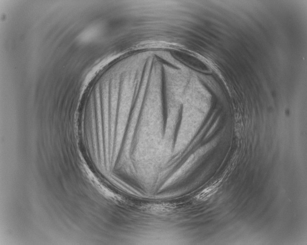 X0000053020995200507291729
