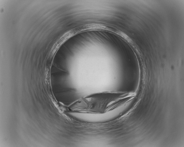 X0000053021001200507291729