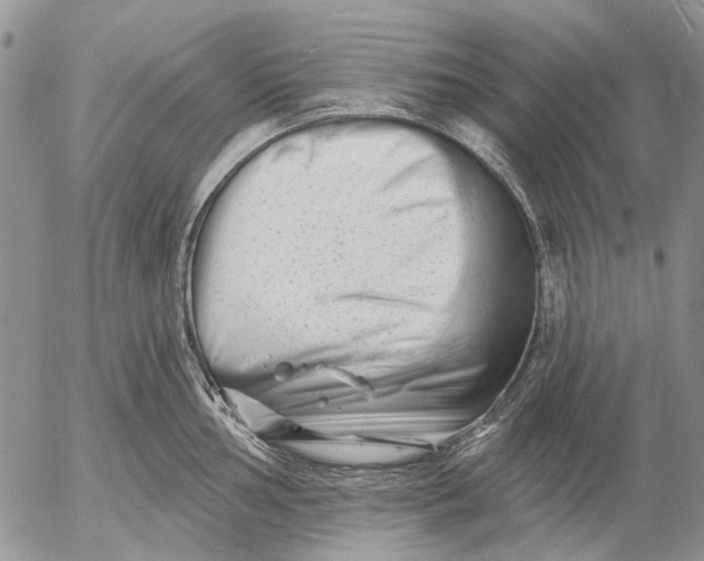 X0000053021002200507291729