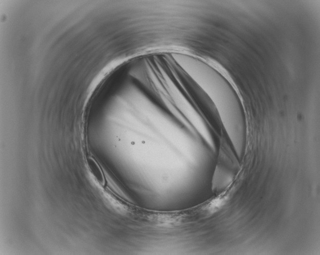 X0000053021005200507291728