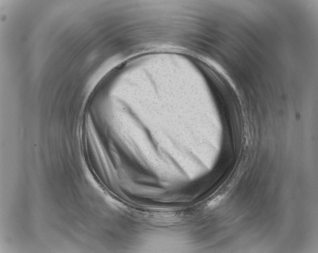 X0000053021007200507291728