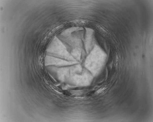 X0000053021010200507291728