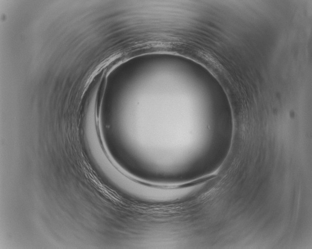 X0000053021026200507291728