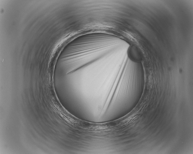 X0000053021027200507291728