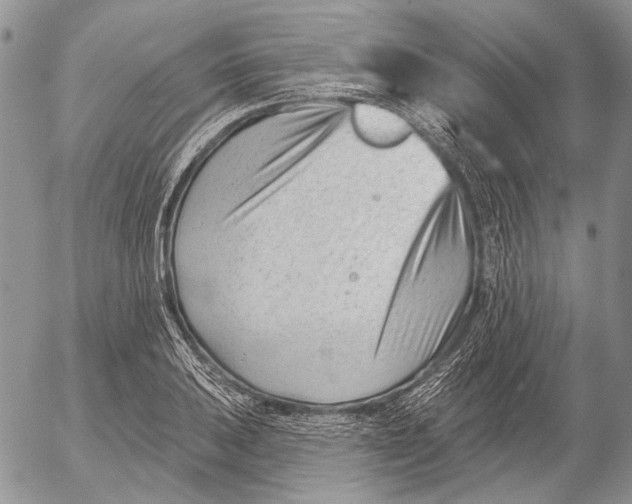 X0000053021031200507291728