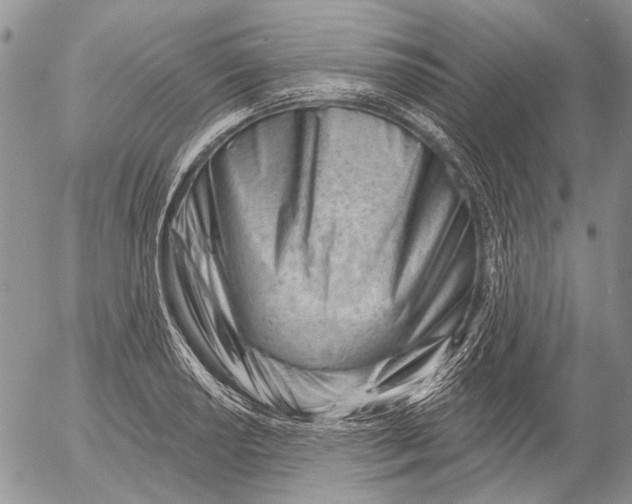 X0000053021034200507291728