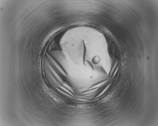 X0000053021035200507291728