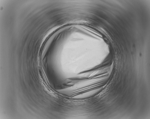 X0000053021044200507291728