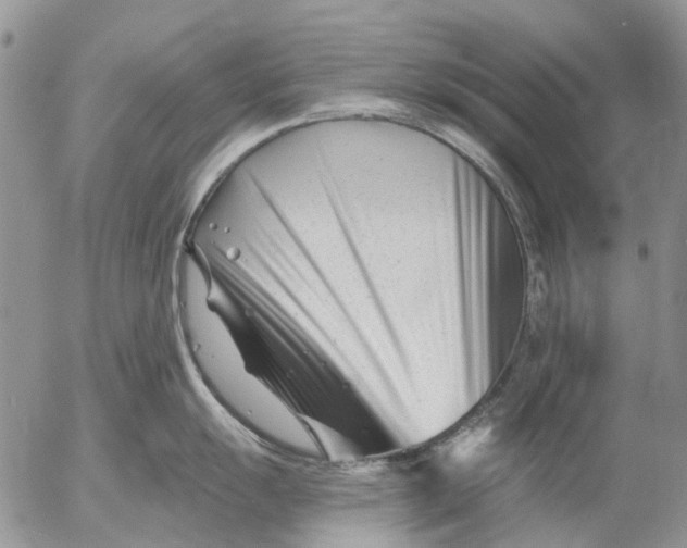 X0000053021055200507291728