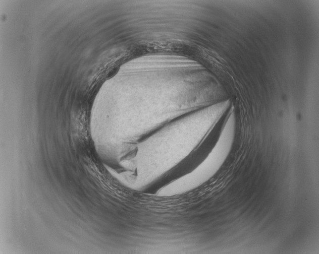 X0000053021060200507291728
