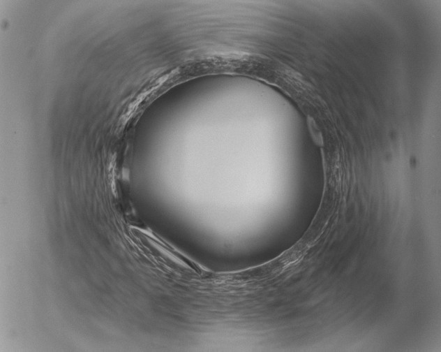 X0000053021061200507291728